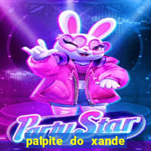 palpite do xande para hoje